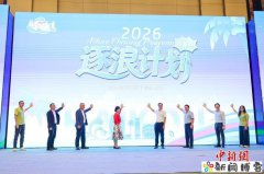 港澳大学生逐浪海南自贸港：“逐浪计划”搭桥
